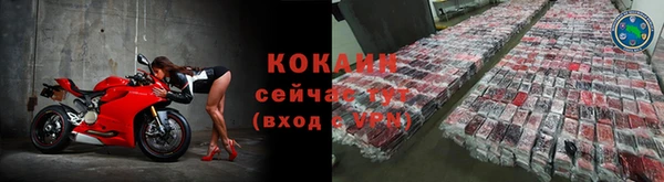 молекула духа Дмитриев