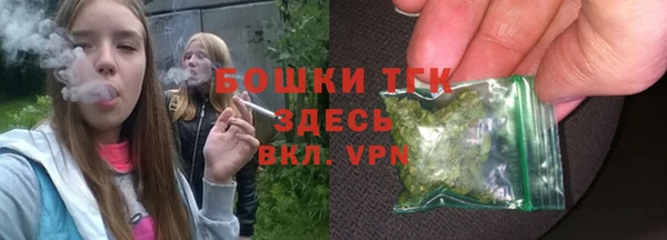 молекула духа Дмитриев