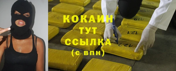 молекула духа Дмитриев