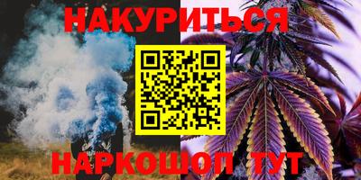 a pvp Славгород