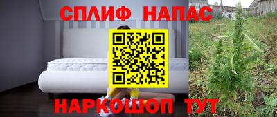a pvp Славгород
