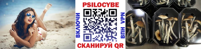 Псилоцибиновые грибы прущие грибы OMG как войти Феодосия